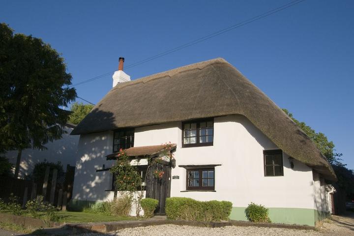 Pet Friendly New Forest Thatched Cottage