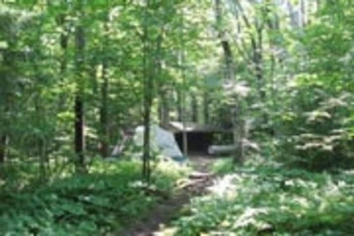 Pet Friendly Sunapee State Park Campground