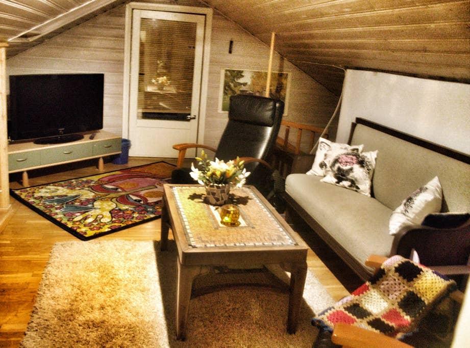 Pet Friendly Tuusula Airbnb Rentals