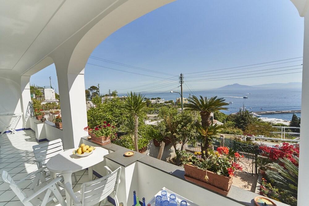 Pet Friendly Panoramic House on Naples Gulf & Capri Harbor