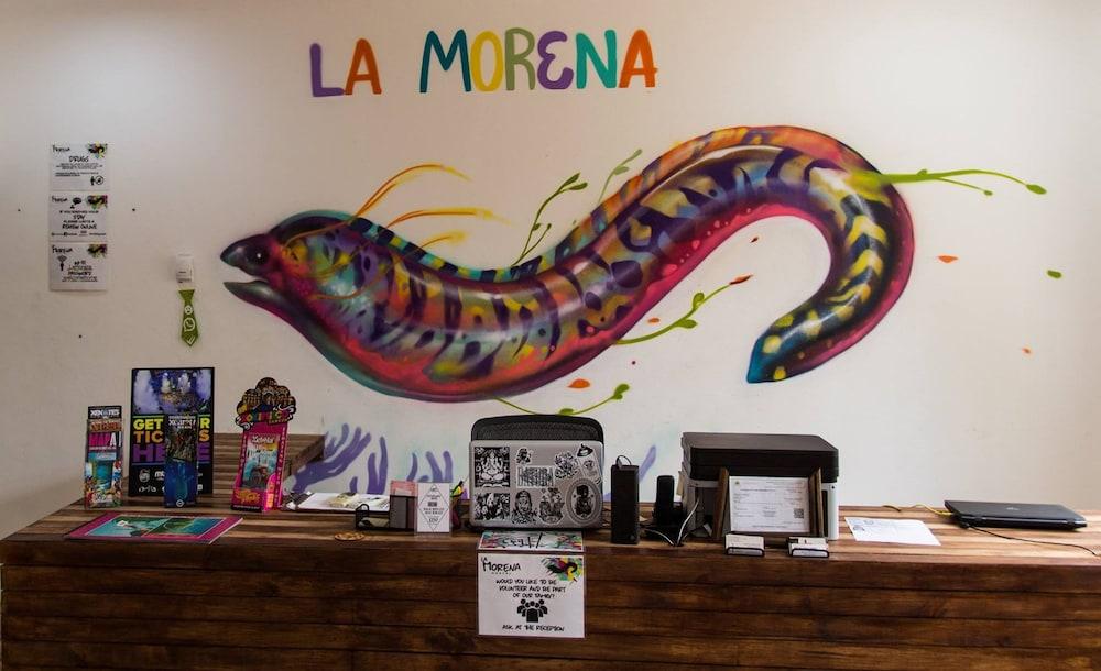 Pet Friendly La Morena Hotel