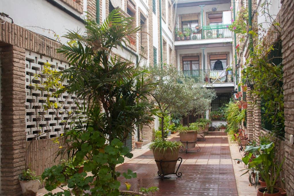 Pet Friendly Cordoba Airbnb Rentals