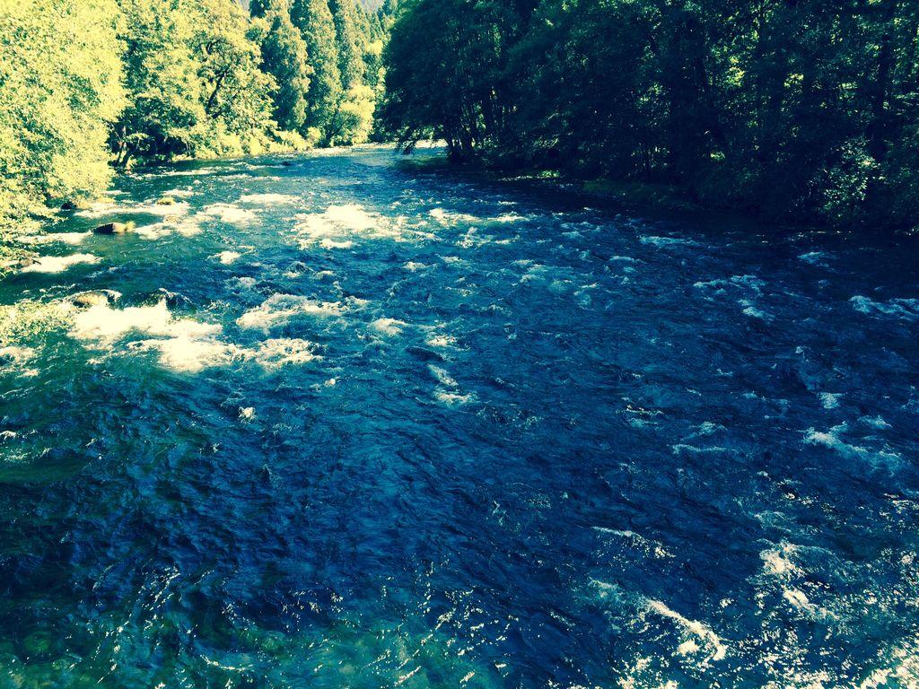 Pet Friendly Vacation Rentals In Mckenzie Bridge Or Bringfido
