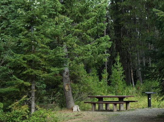 Pet Friendly Cold Springs Campground