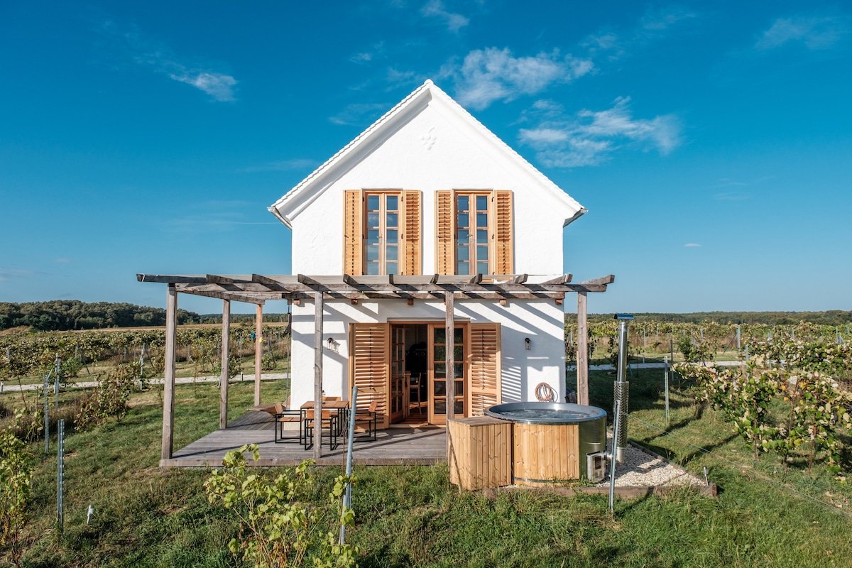 Photo of a dog-friendly airbnb in Strem, AT.