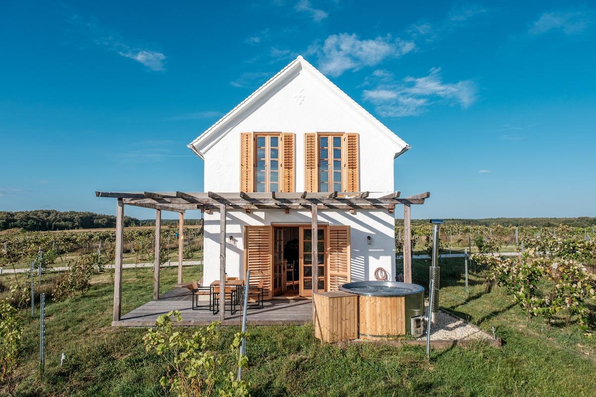 Pet Friendly Strem Airbnb Rentals