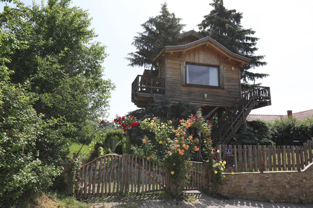 Photo of an airbnb that allows dogs in Strem, AT.