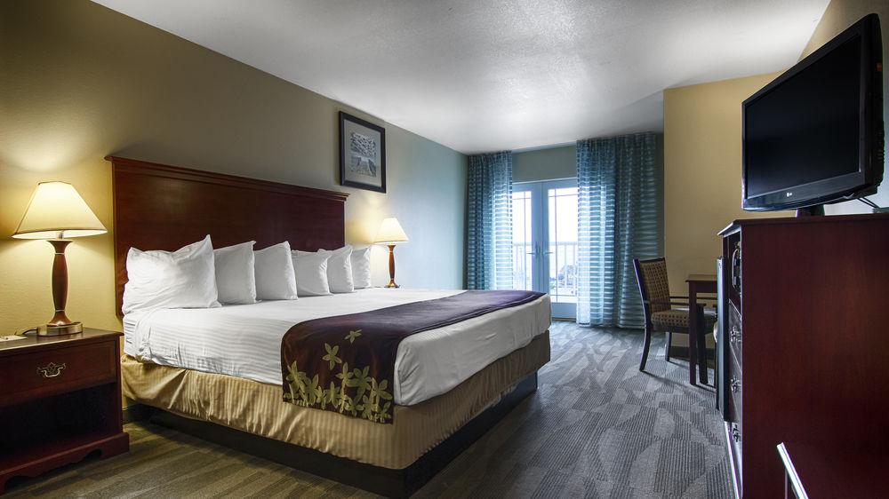 Gold Leaf Hotel Of Dewey Rehoboth Beach Pet Policy