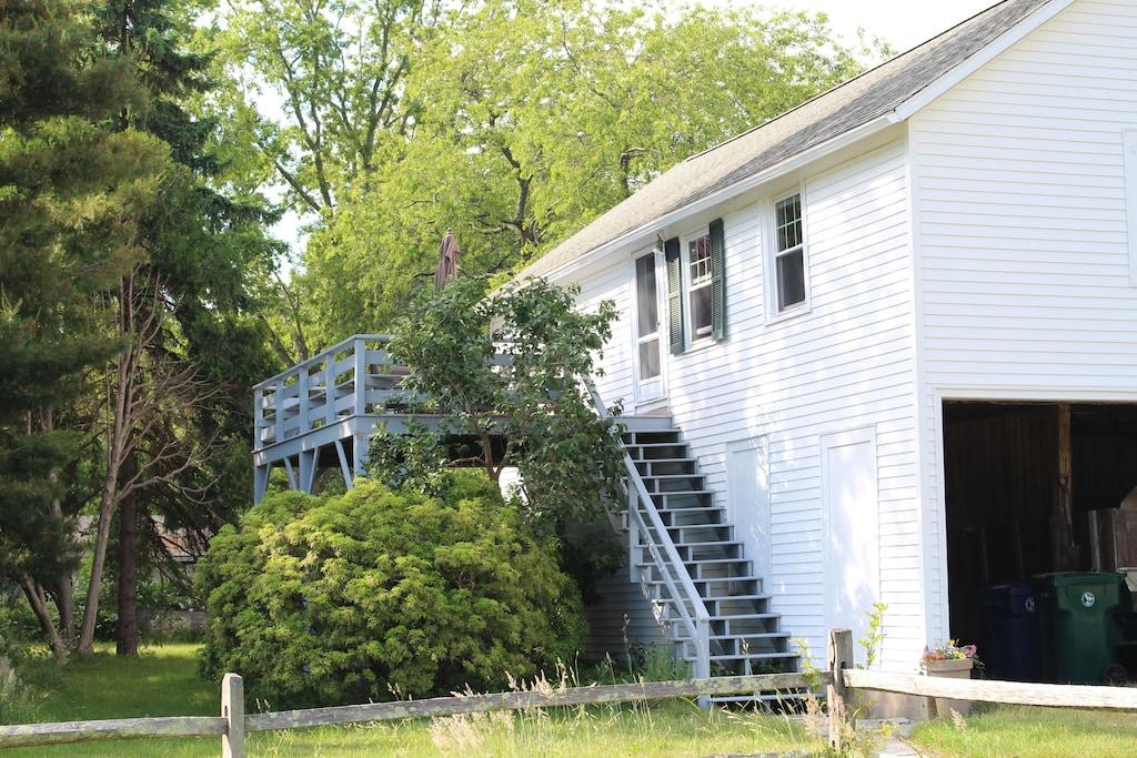 lyme bay cottages dog friendly