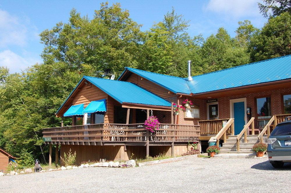 algonquin park cabins pet friendly