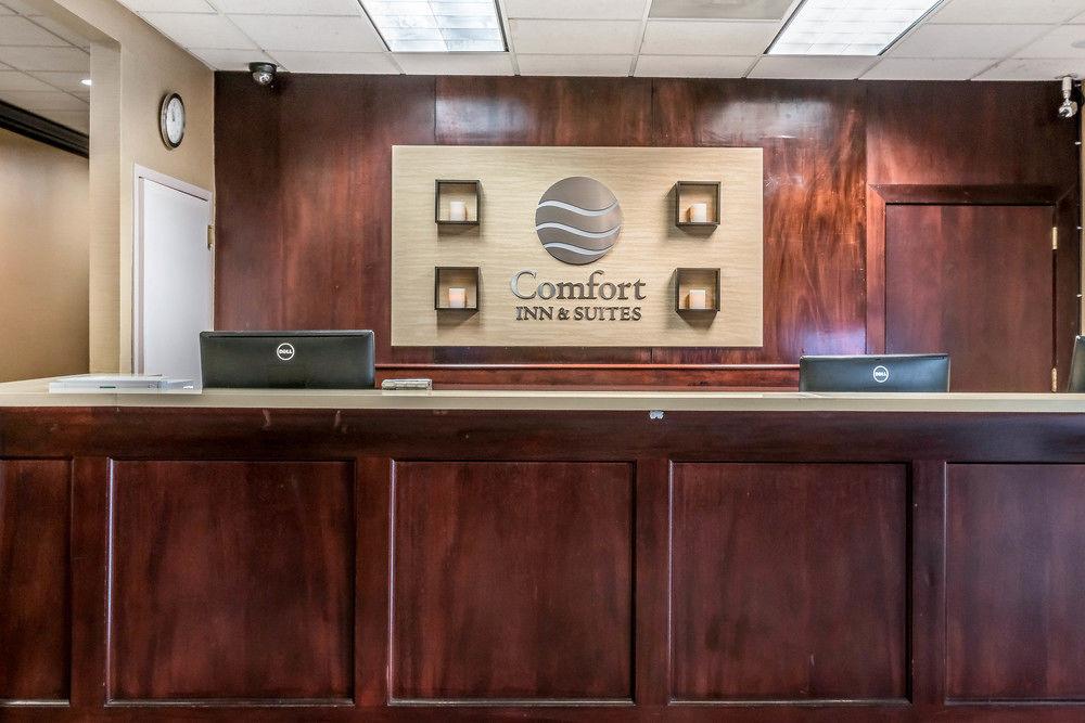 Comfort Inn Suites Seattle Pet Policy