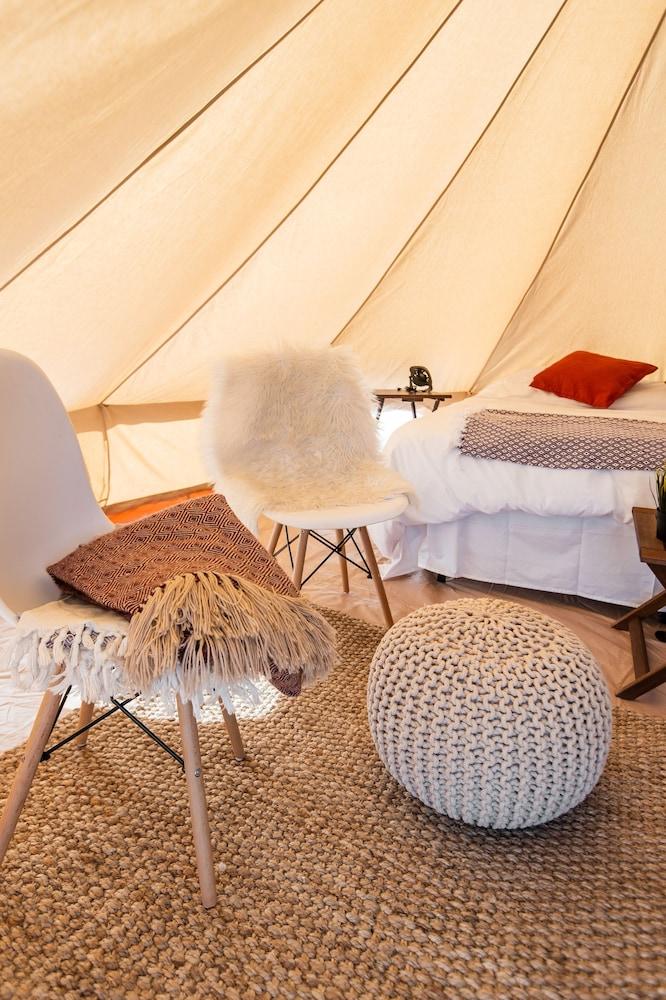 Pet Friendly Olympic Glamping
