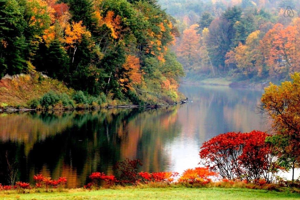 Saxtons River Airbnb Rentals Pet Policy