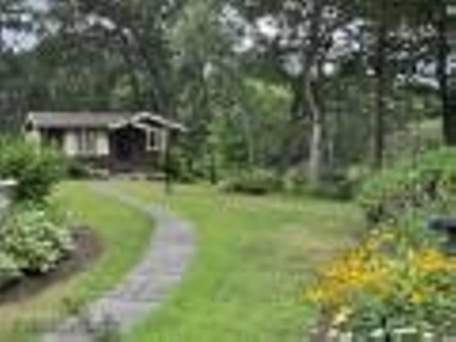 Charlestown Airbnb Rentals Pet Policy