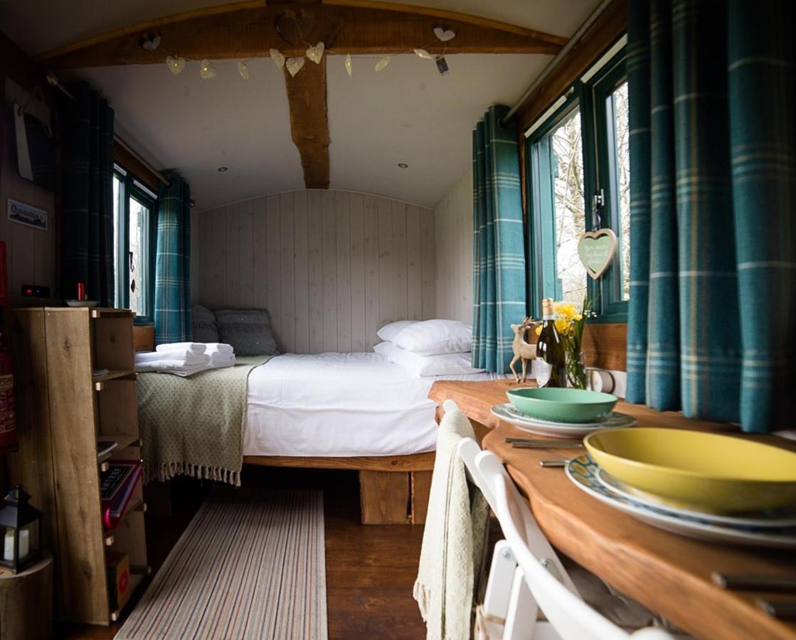 Pet Friendly Shire the Shepherd's Hut at Pentref Luxury Camping