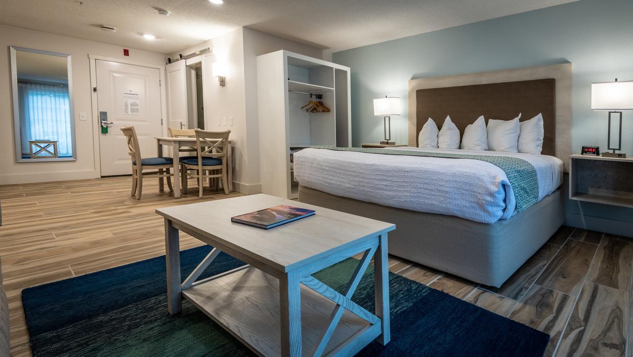 2021 Pet-Friendly Hotels In The Carolinas For Christmas Holiday