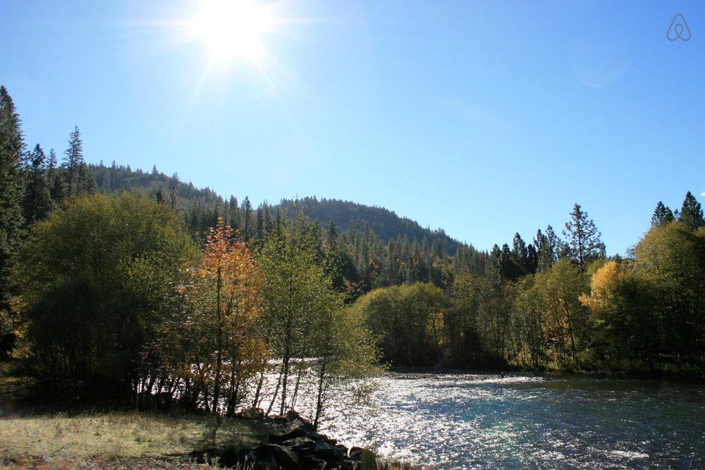 Pet Friendly Union Creek Airbnb Rentals