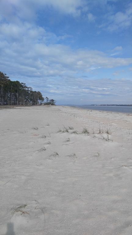 am i able to take my dog on daufuskie island