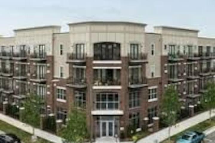 Pet Friendly Vacation Rentals In Charlotte Nc Bring Fido