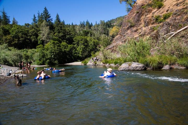 Pet Friendly Russian River RV Campground