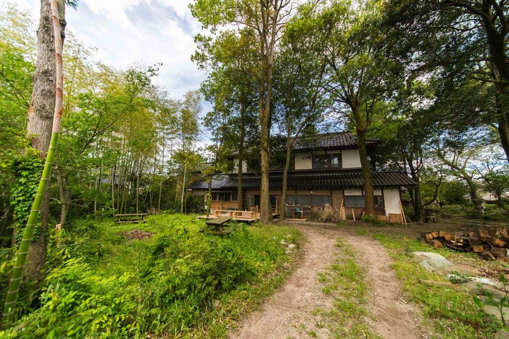 pet friendly vacations near me