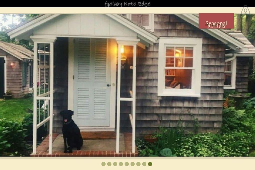 Pet Friendly Bellport Airbnb Rentals