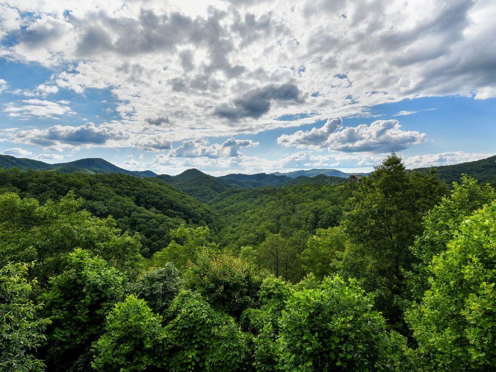 Pet Friendly Hotels in Gatlinburg, TN BringFido