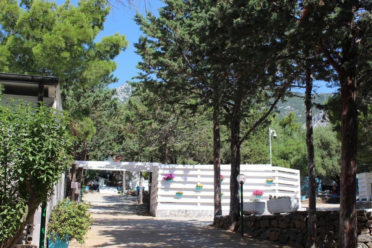 Pet Friendly Camping Car Palmasera