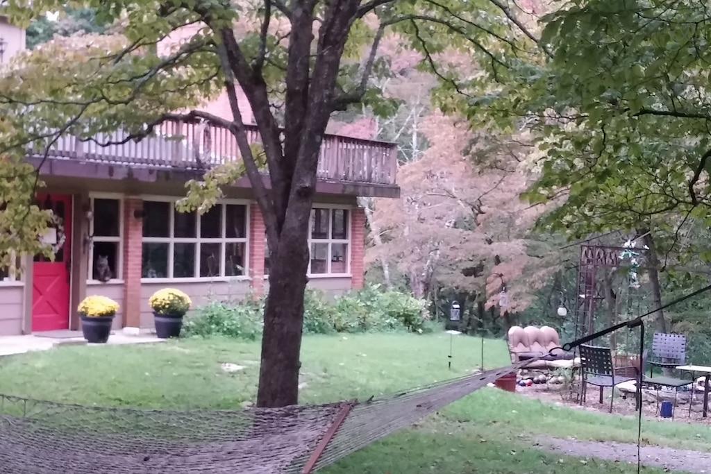 Jellico Airbnb Rentals Pet Policy