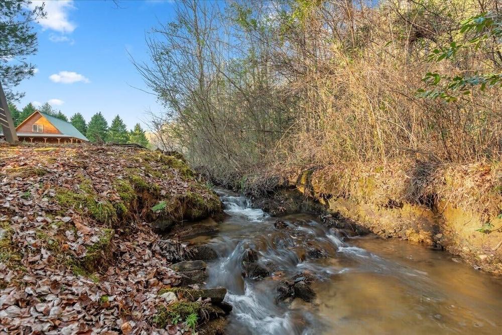 Timber & Tin Pet Policy