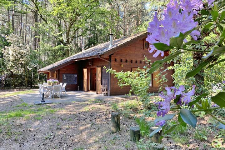 Pet Friendly Charming Chalet in the Middle of the Woods