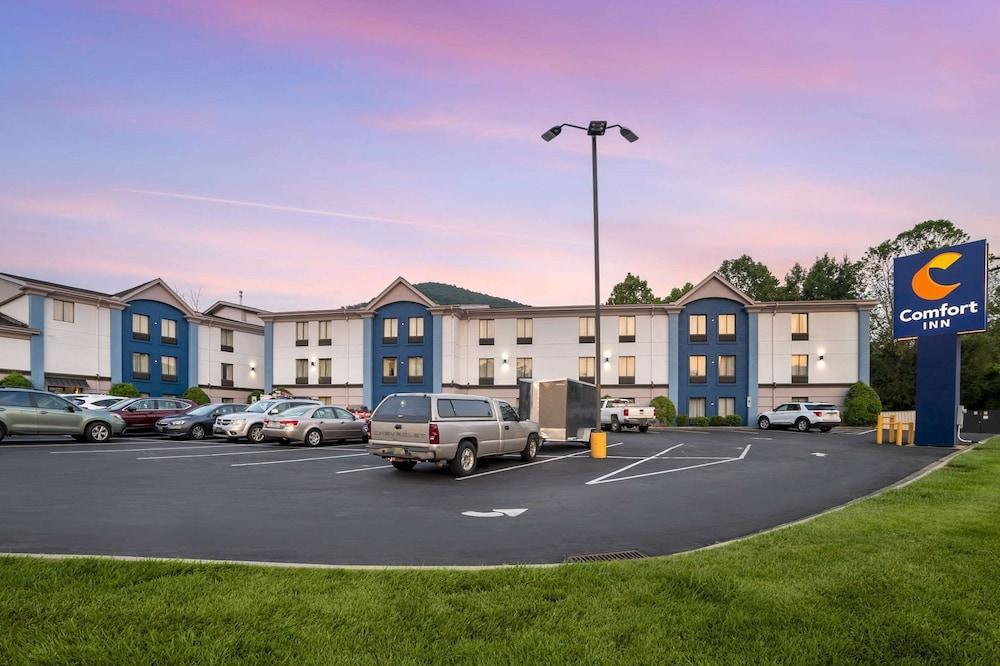 Comfort Inn Asheville East Blue Ridge Pkwy Access Pet Policy