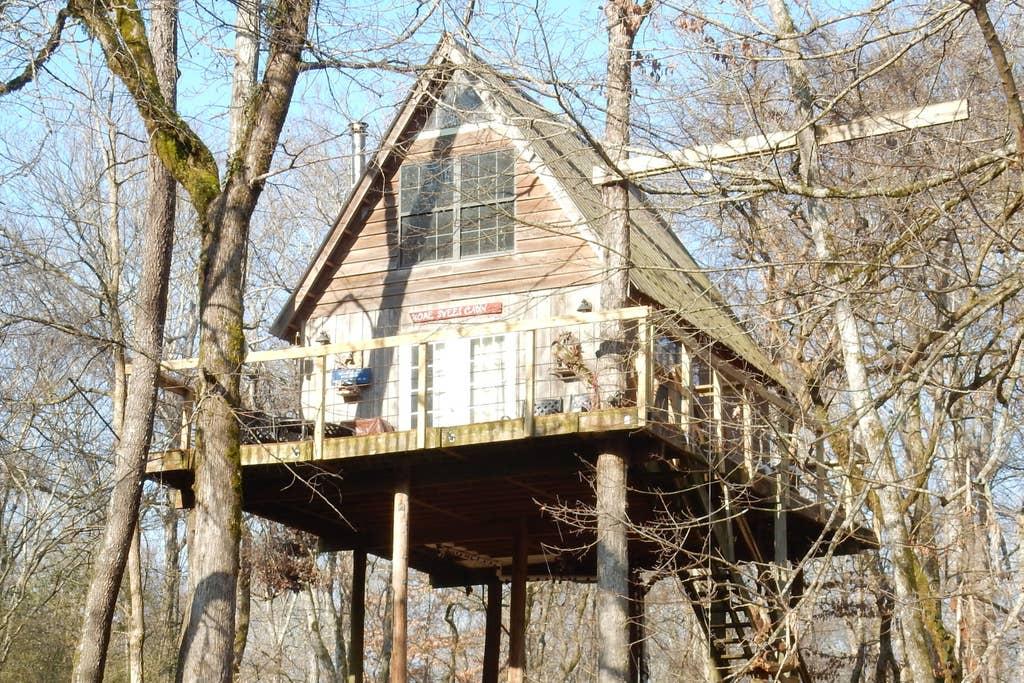 Waterloo Airbnb Rentals Pet Policy