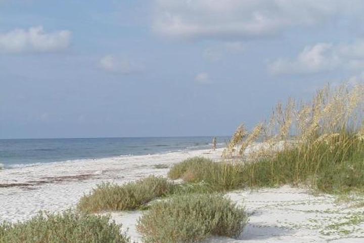 Pet Friendly St. George Island State Park Campground