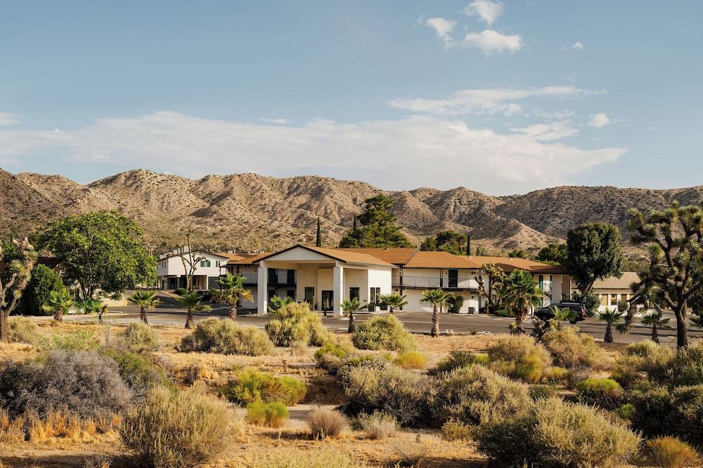 Pet Friendly Field Station Joshua Tree