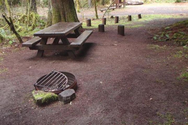 Pet Friendly Horse Creek Group Campground