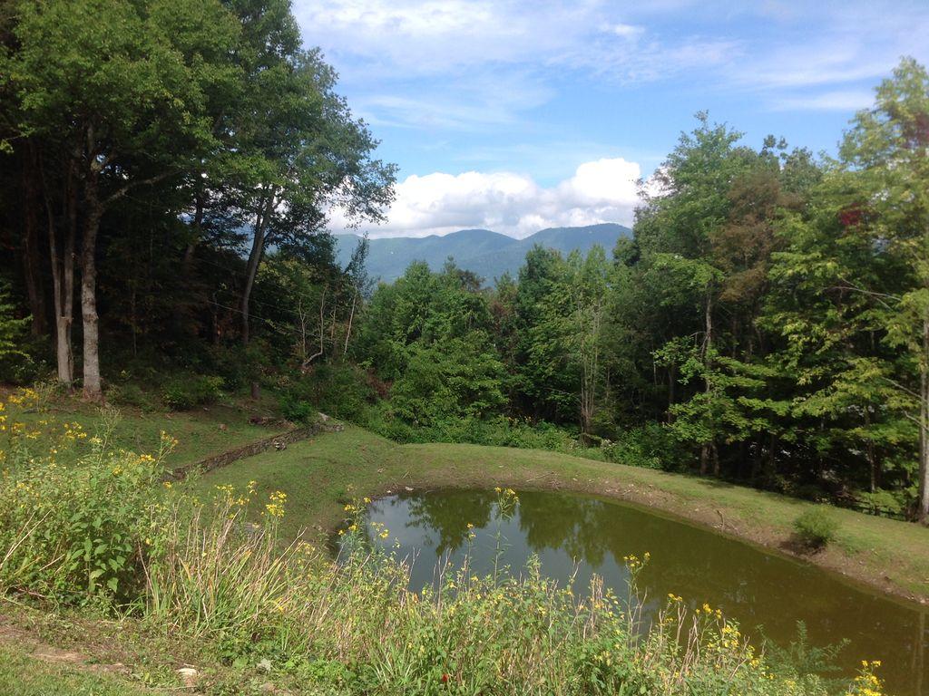 Pet Friendly Vacation Rentals In Waynesville Nc Bringfido