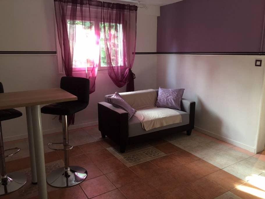 Pet Friendly Bourran Airbnb Rentals