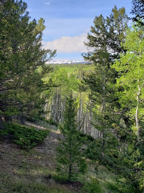 Rv Lot Nestled in the Aspens Pet Policy