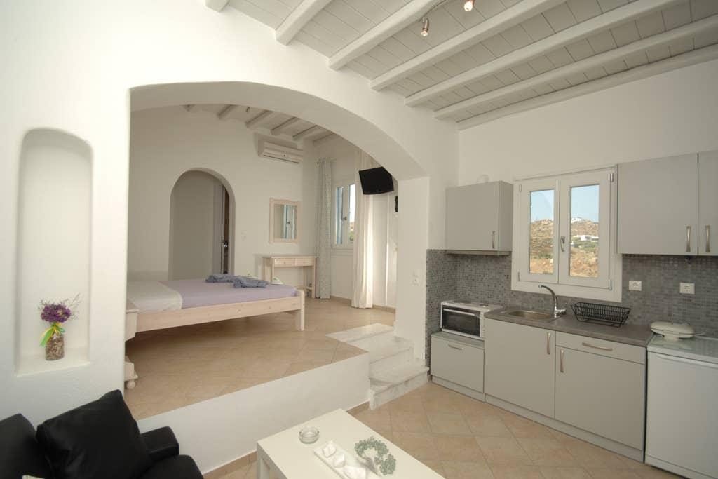 Pet Friendly Platys Gialos Airbnb Rentals