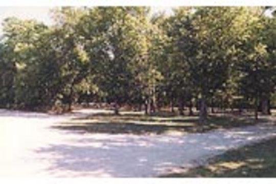 Pet Friendly Bloomington West Campground