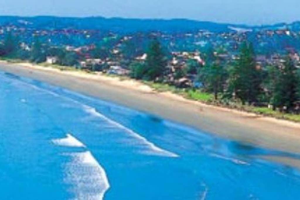 Orewa Airbnb Rentals Pet Policy