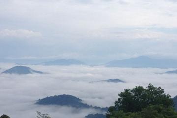Pet Friendly Vacation Rentals In Dillsboro Nc Bringfido