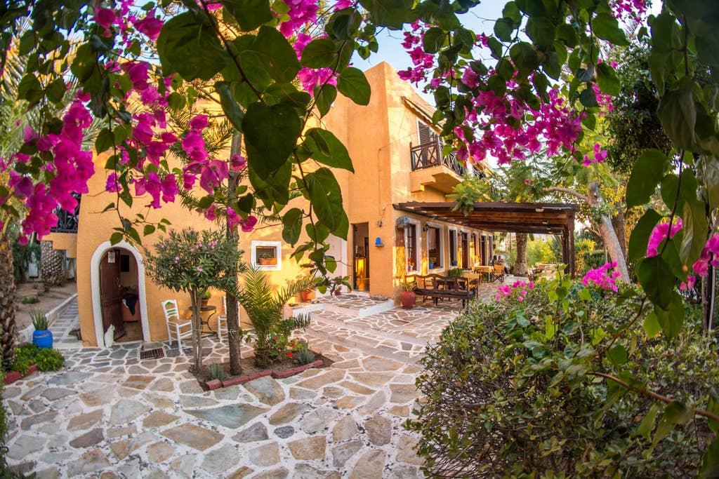 Pet Friendly Aegina Airbnb Rentals