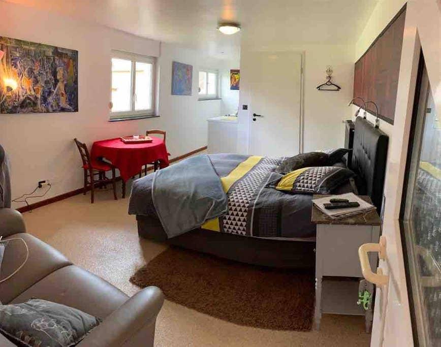 Pet Friendly Wissembourg Airbnb Rentals