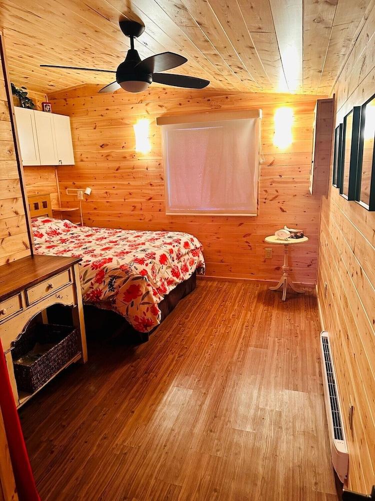 Pet Friendly Cozy 1BR Cabin