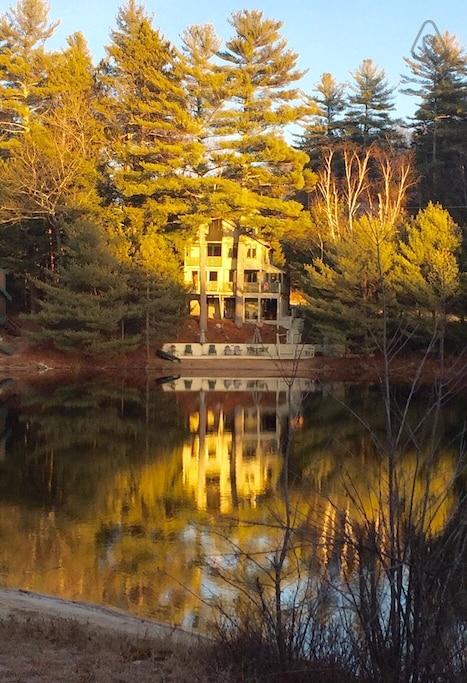 Pet Friendly Silver Lake Airbnb Rentals