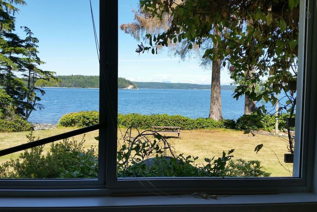 Port McNeill Airbnb Rentals Pet Policy