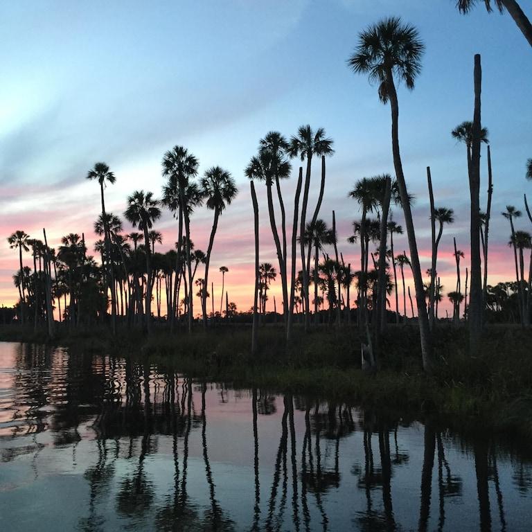 The Weeki Wachee Condo with a Million Dollar View Pet Policy