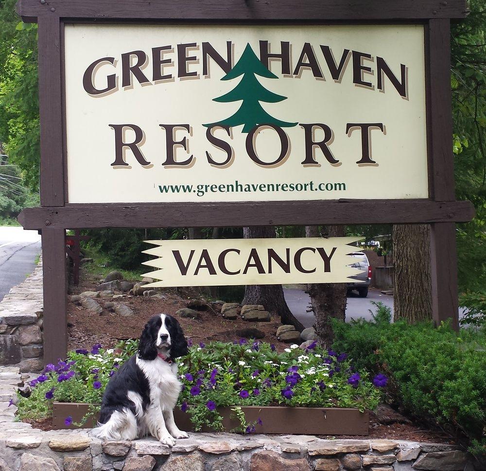 Green Haven Resort Pet Policy